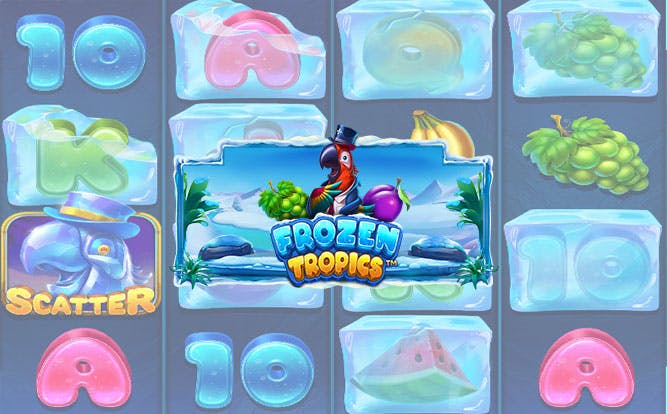 Frozen Tropics machine à sous gratuite